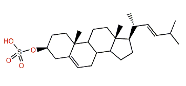 24-Norcholesta-5,22-dien-3b-ol sulfate